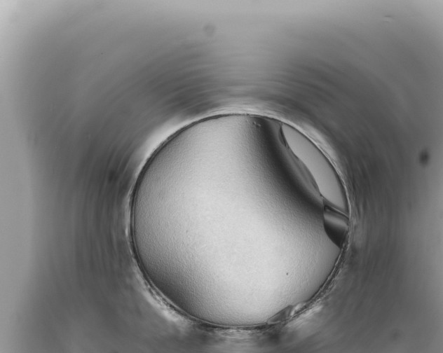 X0000089370862200706221220