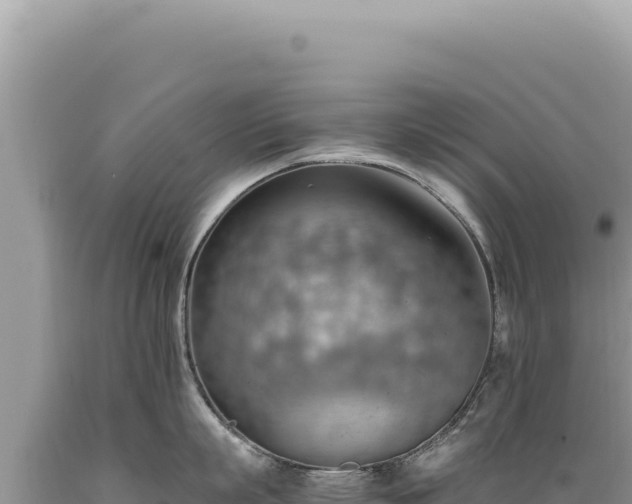 X0000089370863200706221220