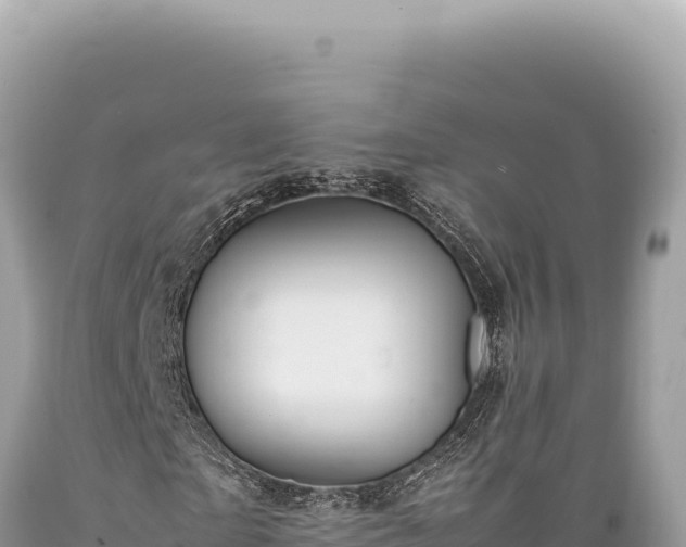 X0000089370865200706221219