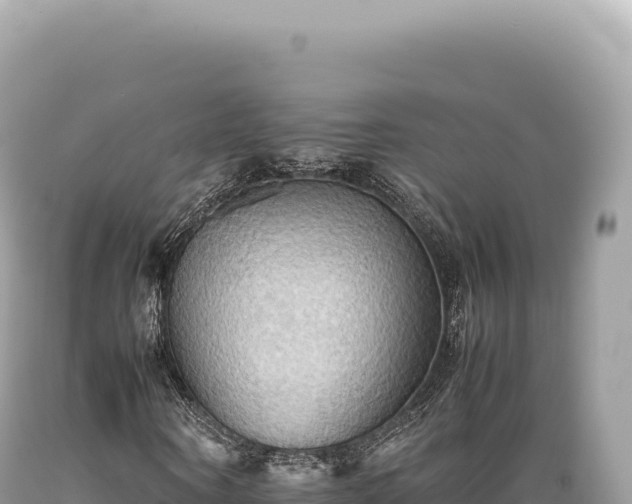 X0000089370866200706221219