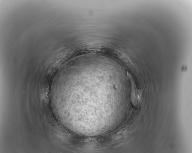 X0000089370867200706221219