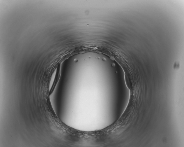 X0000089370868200706221219