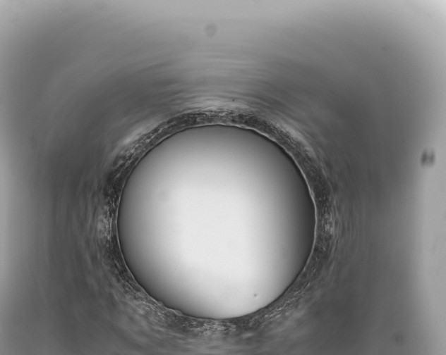 X0000089370869200706221219