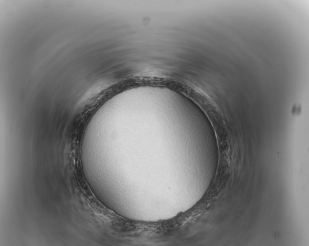 X0000089370870200706221219