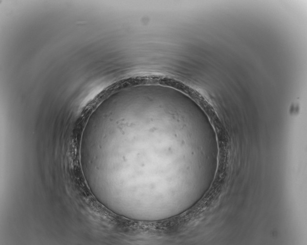 X0000089370871200706221219