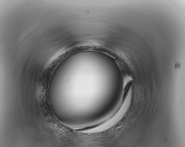 X0000089370872200706221219