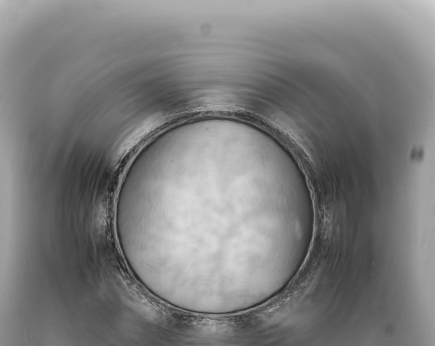 X0000089370874200706221219