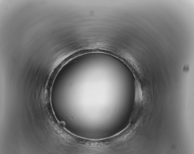 X0000089370876200706221219