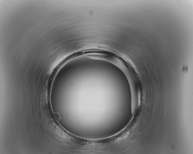X0000089370877200706221219