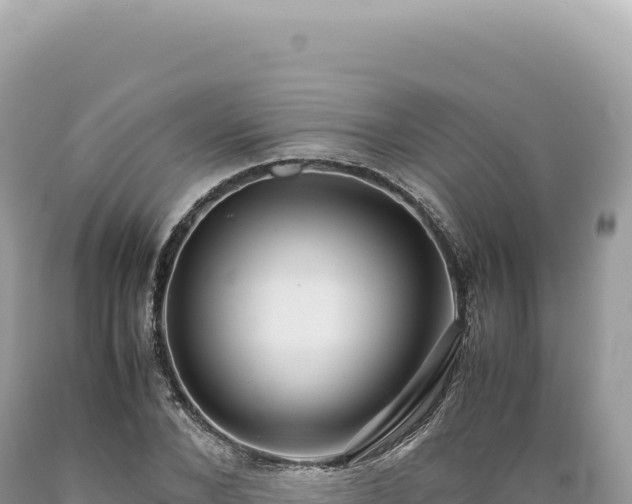 X0000089370880200706221219
