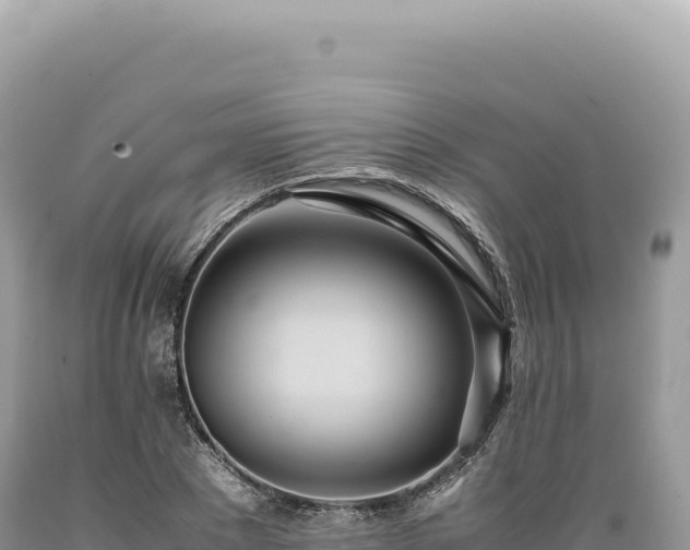 X0000089370881200706221219