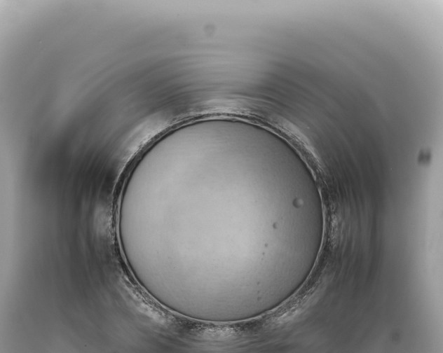 X0000089370882200706221219