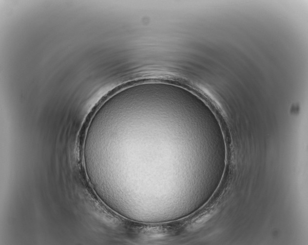 X0000089370883200706221219