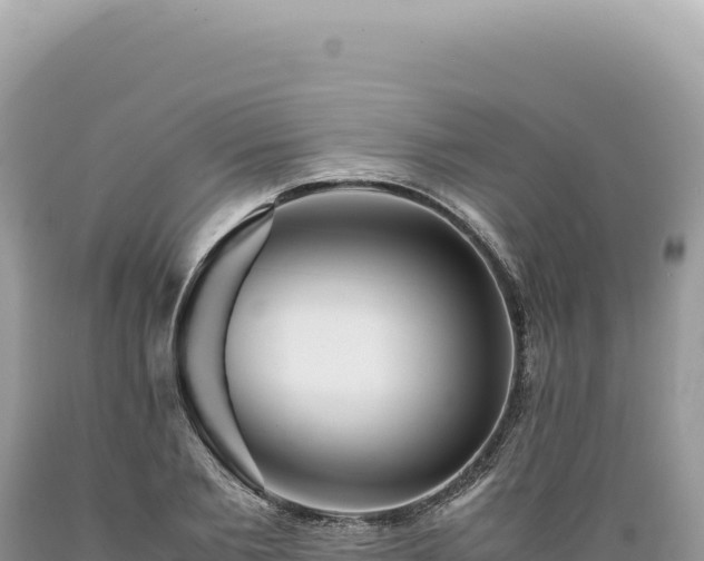 X0000089370885200706221219
