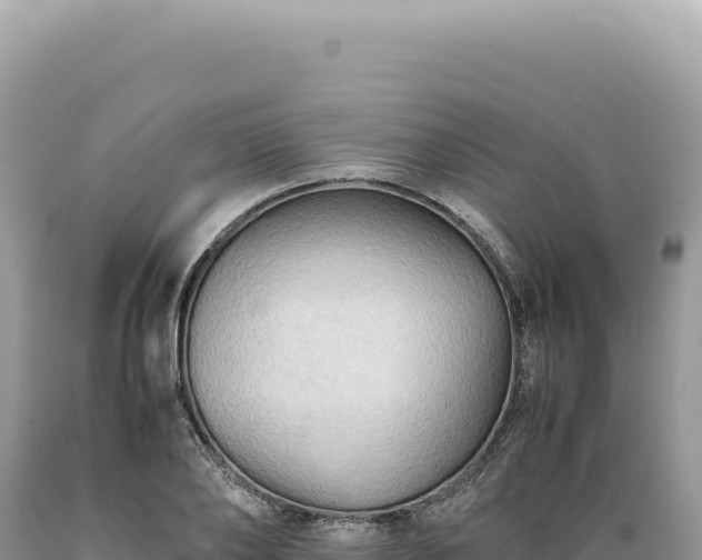 X0000089370886200706221219