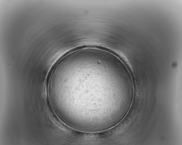 X0000089370887200706221219