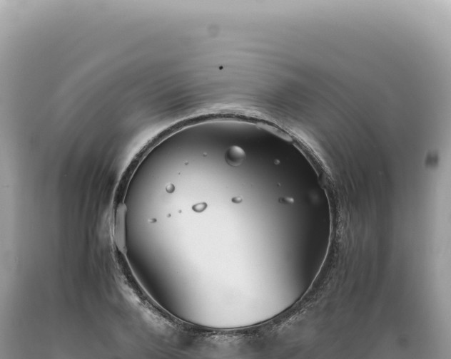 X0000089370888200706221219