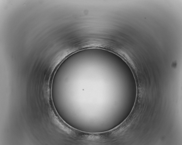 X0000089370890200706221219