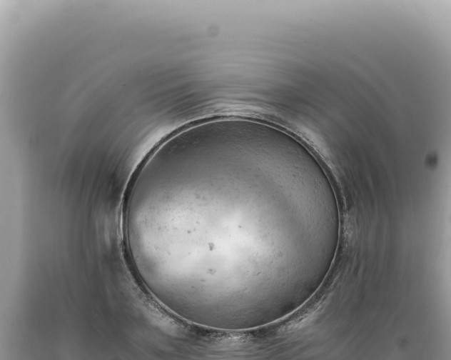 X0000089370891200706221219
