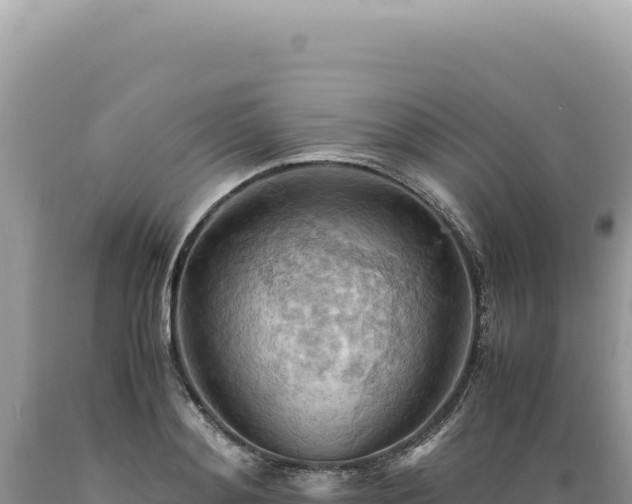 X0000089370892200706221219