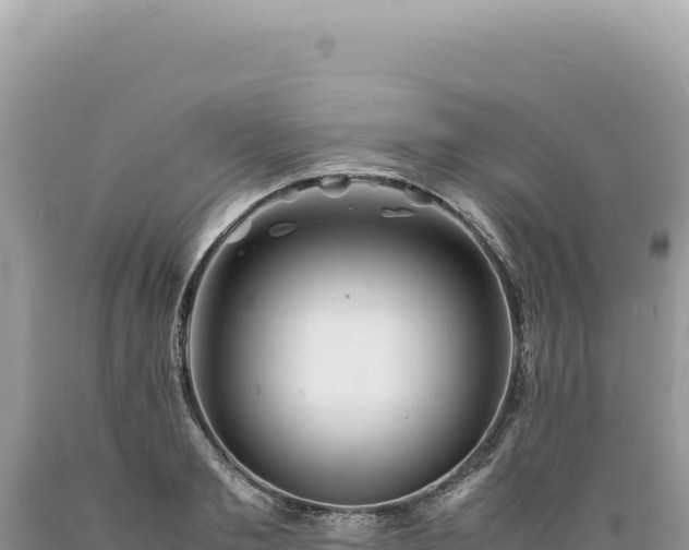 X0000089370893200706221219