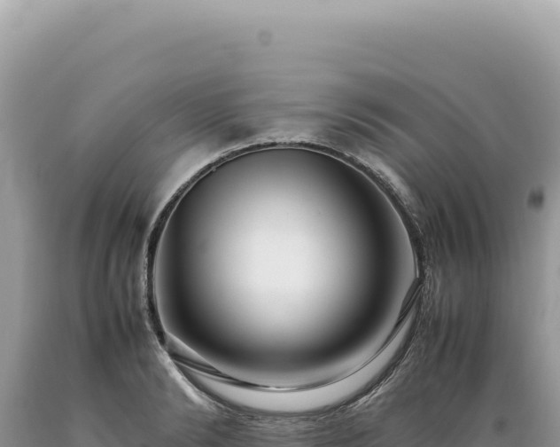X0000089370894200706221219