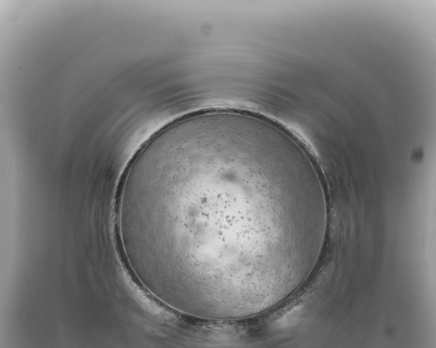 X0000089370895200706221219