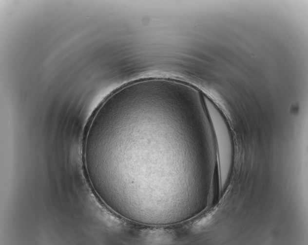 X0000089370896200706221219