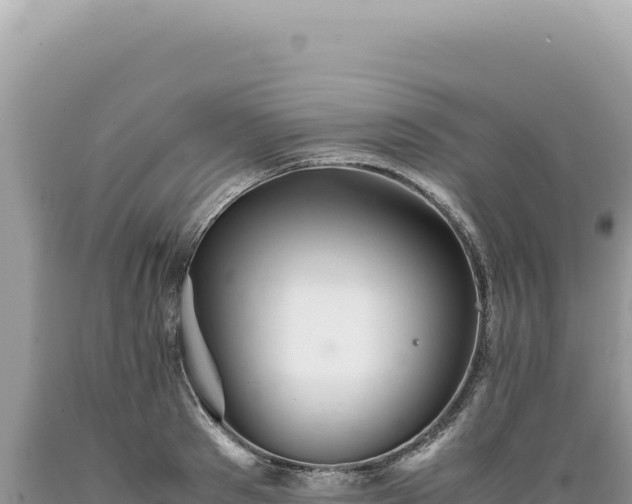 X0000089370897200706221219