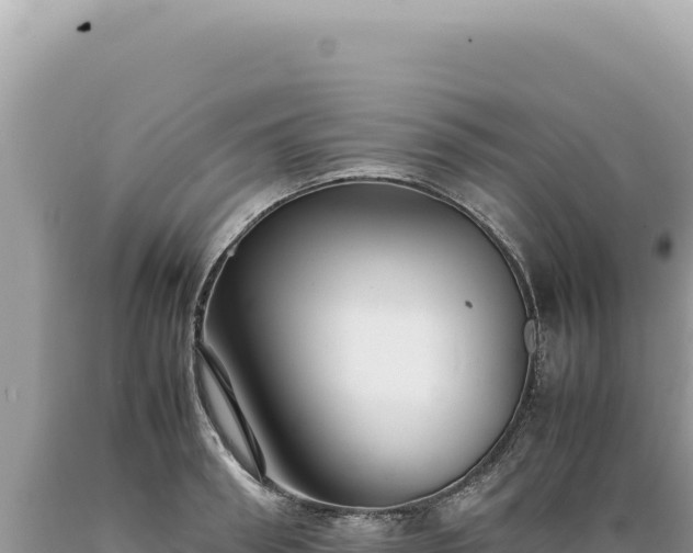 X0000089370898200706221219