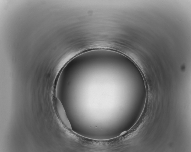 X0000089370901200706221219