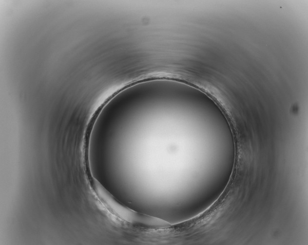 X0000089370902200706221219