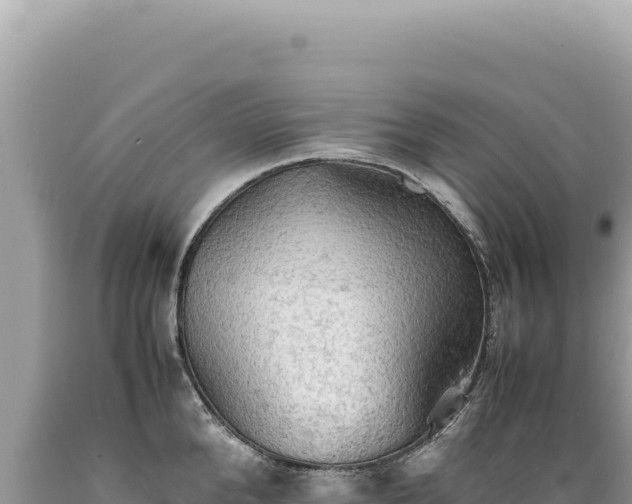 X0000089370904200706221219