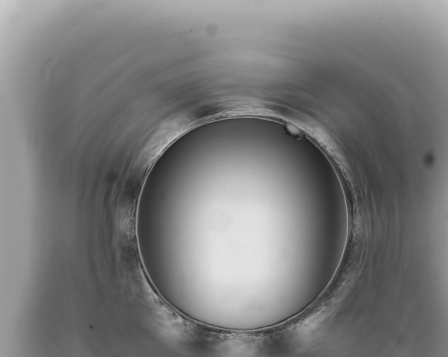 X0000089370905200706221219
