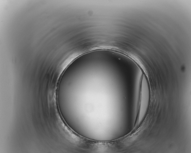 X0000089370906200706221219