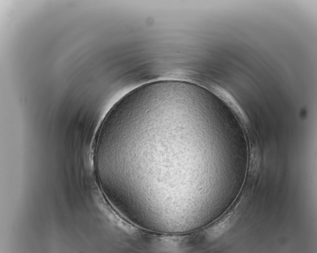X0000089370908200706221219