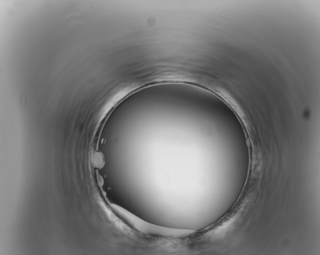 X0000089370909200706221219