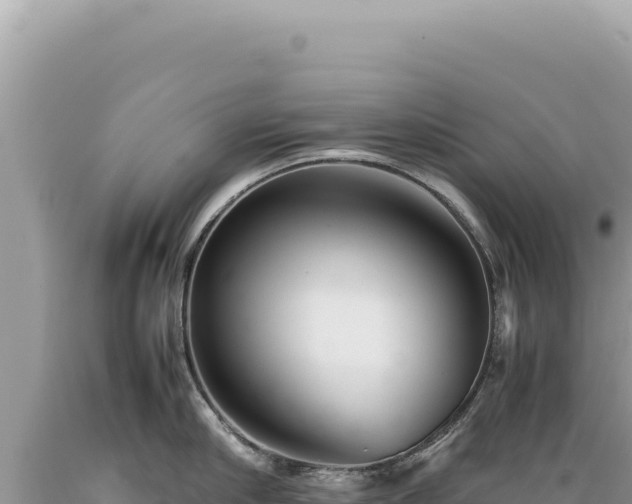 X0000089370910200706221219