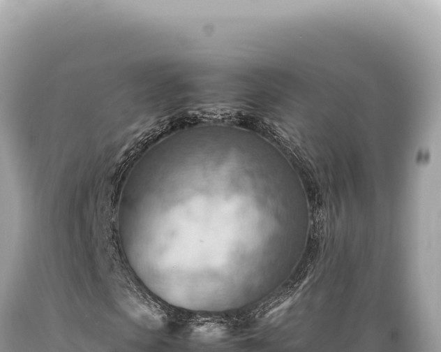 X0000089370913200706221218