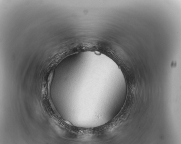 X0000089370914200706221218