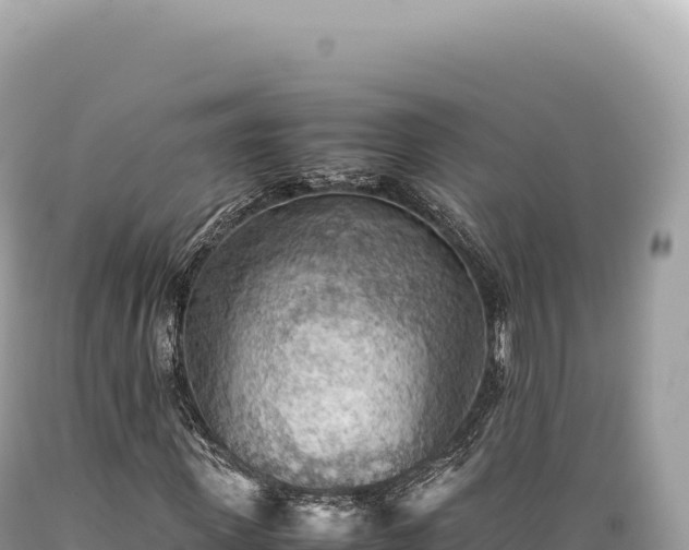 X0000089370915200706221218