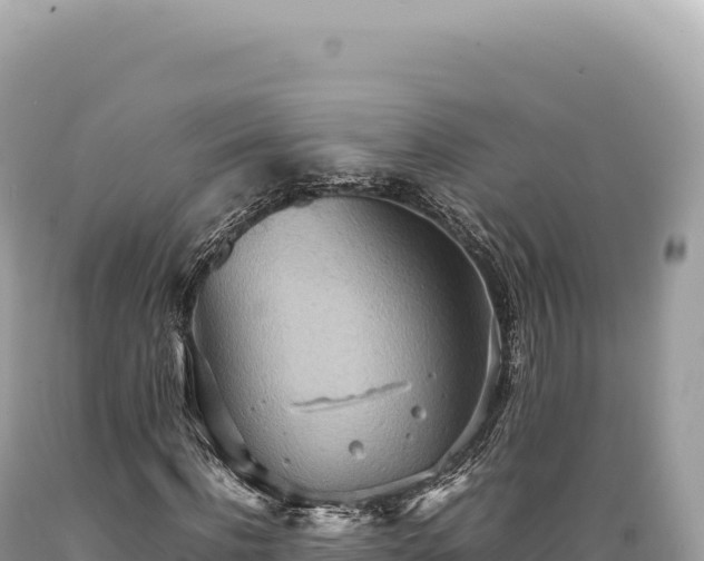 X0000089370916200706221218
