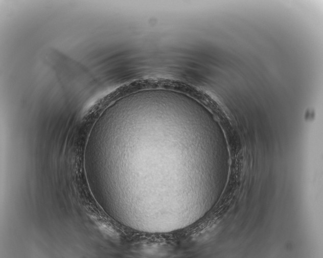 X0000089370919200706221218