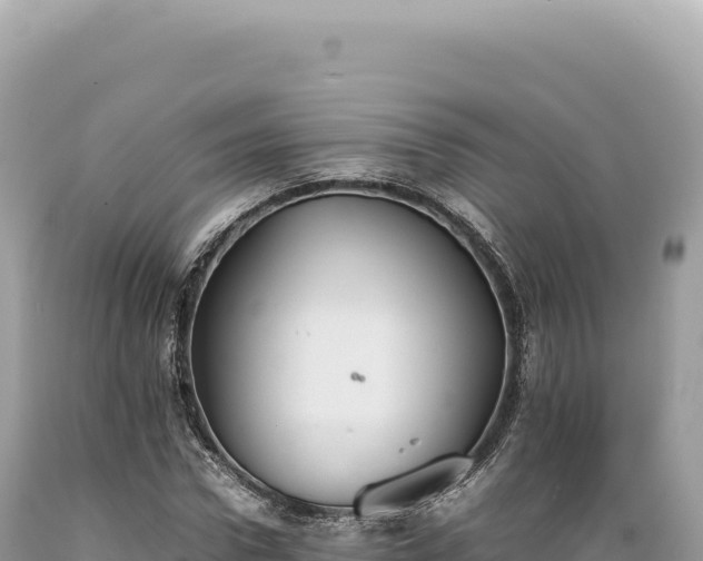 X0000089370922200706221218