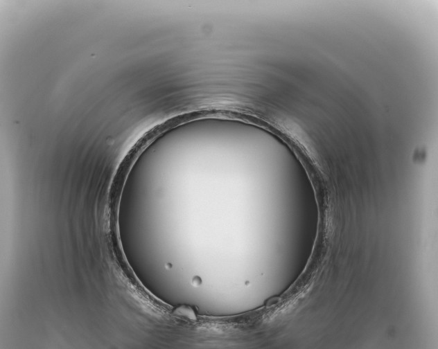 X0000089370924200706221218
