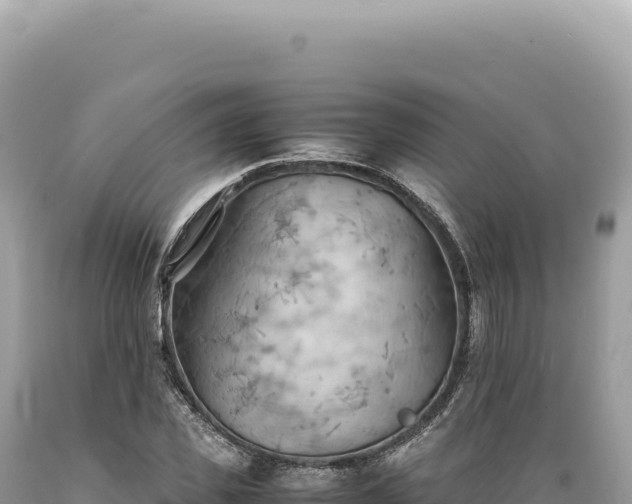 X0000089370925200706221218