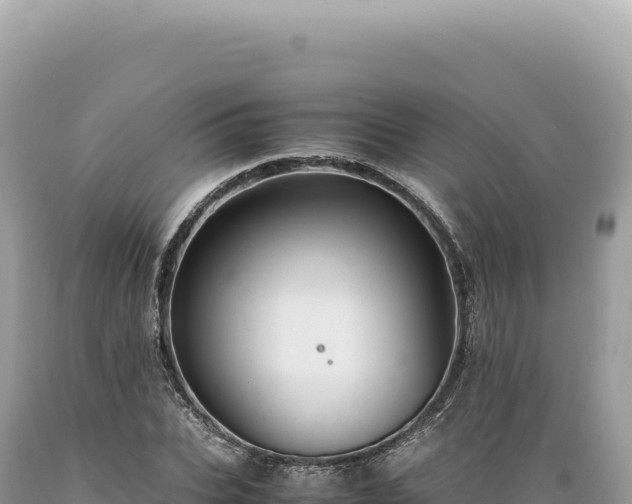 X0000089370927200706221218