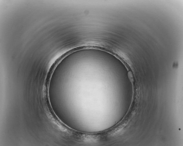 X0000089370928200706221218