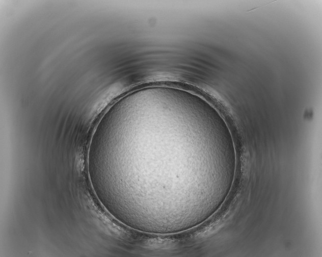 X0000089370929200706221218