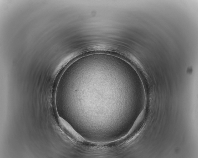 X0000089370930200706221218